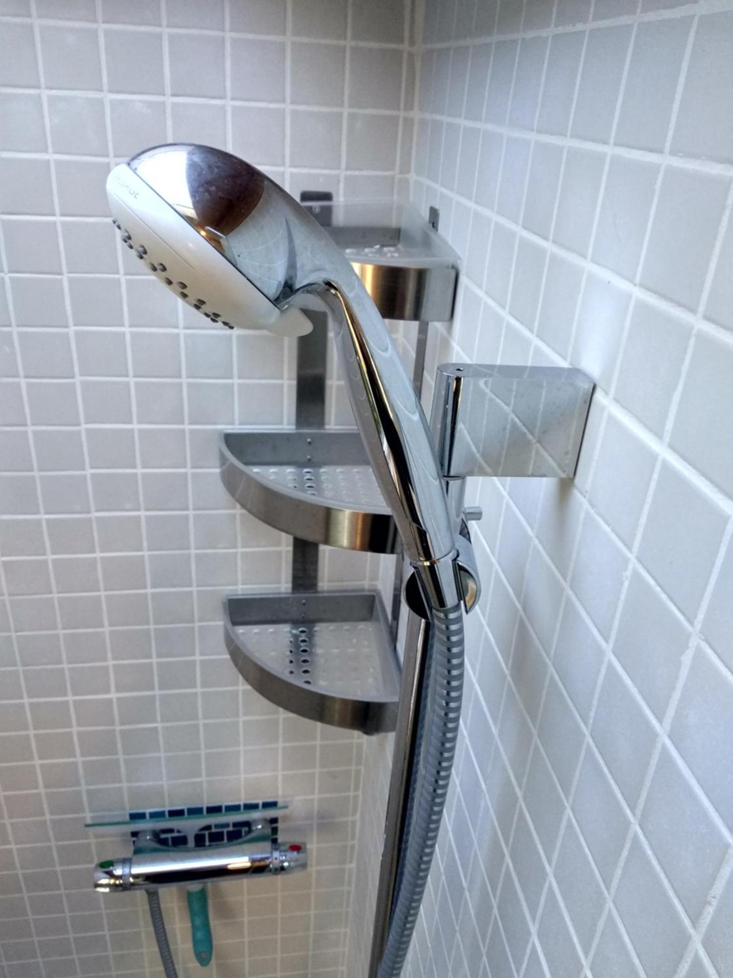 Gully Hideaway Apartment ハミルトン エクステリア 写真