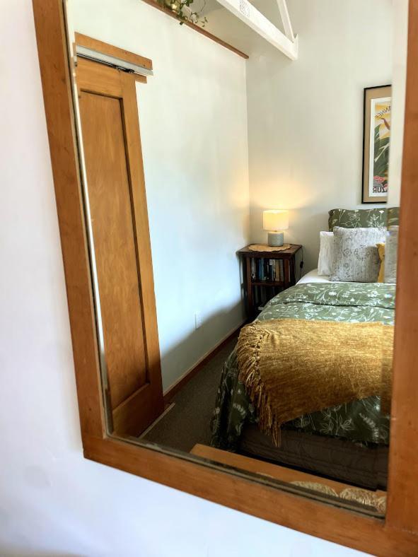 Gully Hideaway Apartment ハミルトン エクステリア 写真